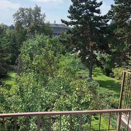 Vystaviste Bvv Brno