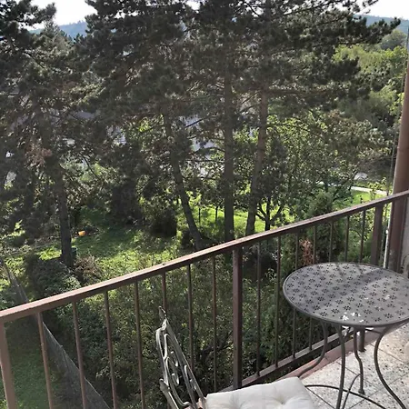Hostel Vystaviste Bvv *
